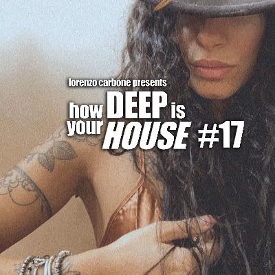 how Deep is your HOUSE #17