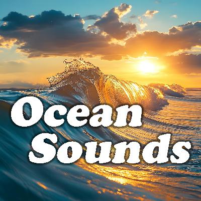 Ocean Repose: Peaceful Beach Waves
