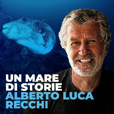 Il Pesce Pappagallo dorme col pigiama Il Pesce Pappagallo dorme col pigiama