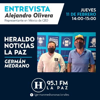 SE INCUMPLE LA PROTECCIÓN DE TORTUGAS