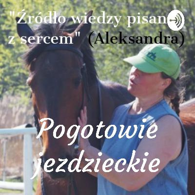 Ułożenie szyi i głowy konia