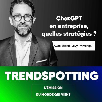 S2E14 - ChatGPT en entreprise, quelles stratégies ?