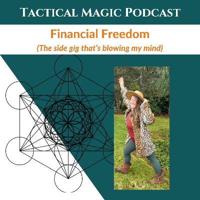 E. 246 Financial Freedom (the side gig that's blowing my mind!)