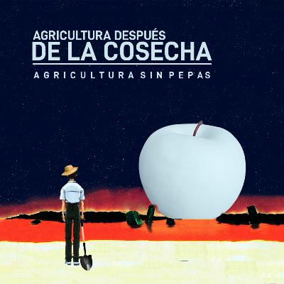 El final de la temporada El final de la temporada