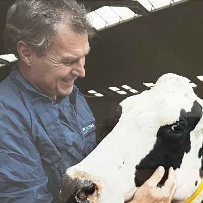 Positive mental attitude