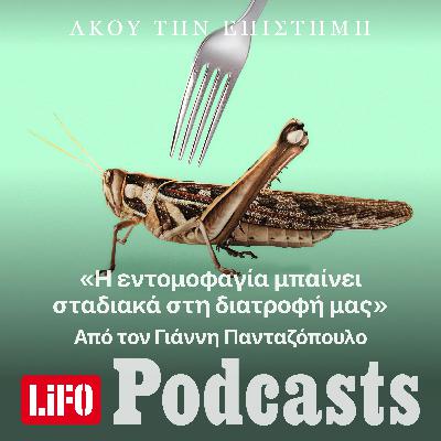 «Η εντομοφαγία μπαίνει σταδιακά στη διατροφή μας»