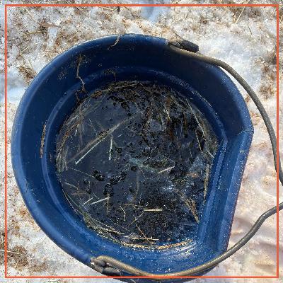 Winter Barn Survival for Broke Horse Moms