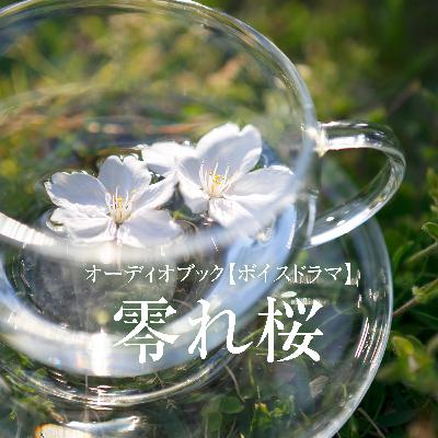ボイスドラマ「零れ桜」