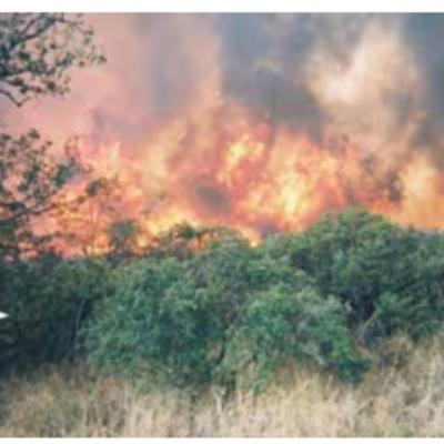 Episode #83 Cedar Fire CA, Oct 2003 WUI LODD Episode #83 Cedar Fire CA, Oct 2003 WUI LODD