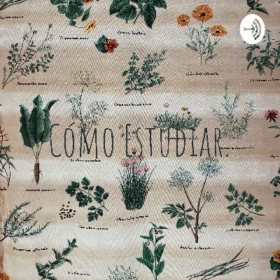 Cómo estudiar. ♡
