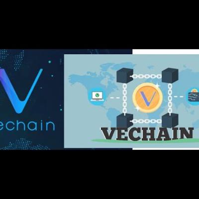 Vechain Basic Information Overview 🔴 #vechain #vthor Vechain Basic Information Overview 🔴 #vechain #vthor