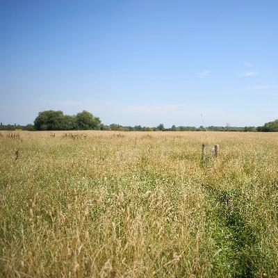 Nature Tripping Episode 30 - Regenerative Farming and Life in the Soil