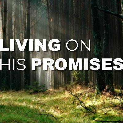 Bethlehem Bulletin | Living On His Promises