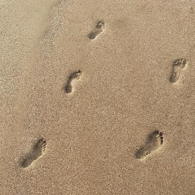 Épisode 160 | Au sein de ton corps se loge la mémoire du monde Épisode 160 | Au sein de ton corps se loge la mémoire du monde