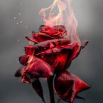 A Romantização da Cozinha