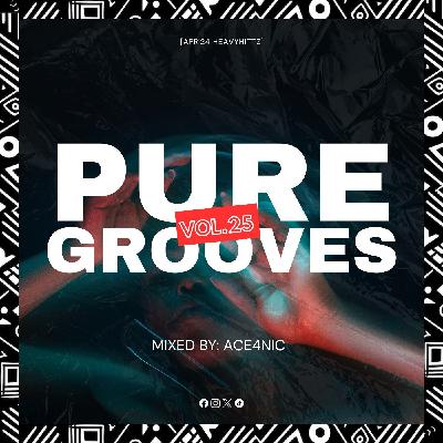 Pure Grooves Vol.25 Mixed By.ACE4NIC [Apr'24 Heavyhittz]