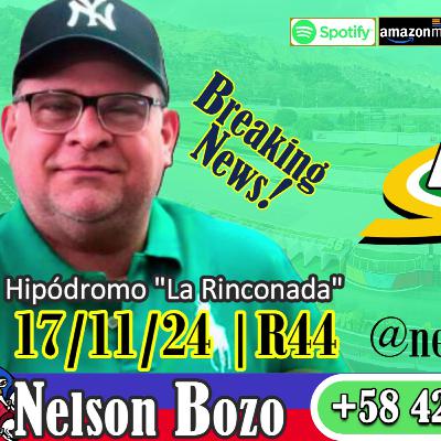 Nelson Bozo "El triple coronado del Zulia" | #LaRinconada 17/11/24 | R44 | Marcas5y6 #adelantados 🏇🏆