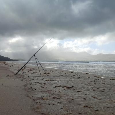 La mise à jour hebdo de la pêche à la ligne Irlandaise, 19 Sep 2025