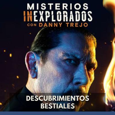 Misterios Inexplorados - Descubrimientos Bestiales