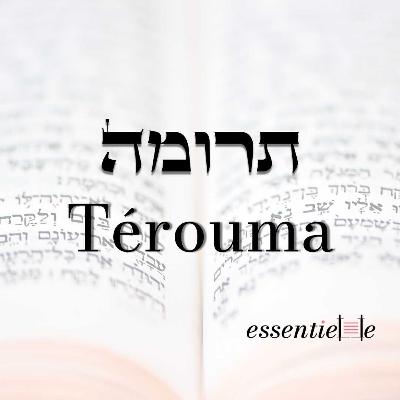 5786 - Térouma - La femme dans toute sa splendeur 5786 - Térouma - La femme dans toute sa splendeur
