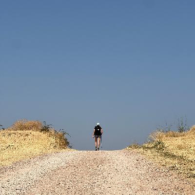 Day 6 Estella to Sansol