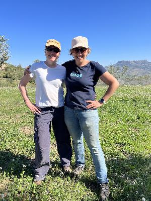 071 Sunshine, Friendship, and Olive Oil In The Heart Of Sicily - with SARAH WOLFERSTAN 071 Sunshine, Friendship, and Olive Oil In The Heart Of Sicily - with SARAH WOLFERSTAN