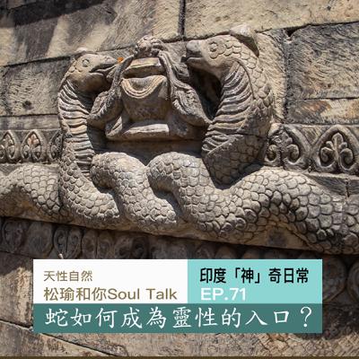 從印度龍王到中國玄字:蛇如何成為靈性的入口? 從印度龍王到中國玄字:蛇如何成為靈性的入口?