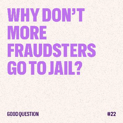 Why Don't More Fraudsters Go to Jail? ft. Fraud Detective Marc Evans Why Don't More Fraudsters Go to Jail? ft. Fraud Detective Marc Evans