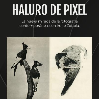 La nueva mirada de la fotografía contemporánea, con Irene Zottola