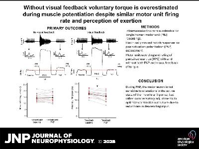 How Visual Feedback Shapes Muscle Control: Insights from Potentiation Research