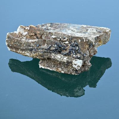 Rare Earth Emergency