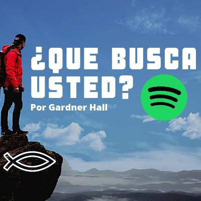 ¿Qué busca usted?