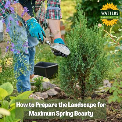 🪴How to Prepare the Landscape for Maximum Spring Beauty