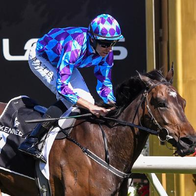 Episode 110 - Australian Cup, Tancred & Vinery Stud Stakes