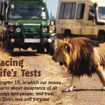 Chapter 15 - Facing Life’s Tests