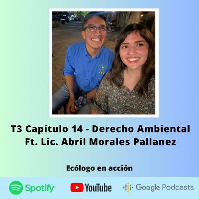 T3 Capítulo 14 - Derecho Ambiental Ft. Lic. Abril Morales Pallanez