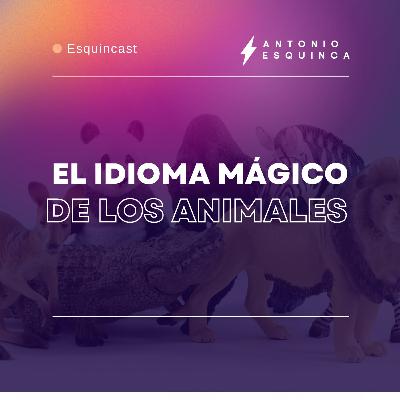 El idioma mágico de los animales. Mensajes que tu alma necesita.