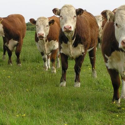 "If they hadn't room for me, I wouldn't be here"