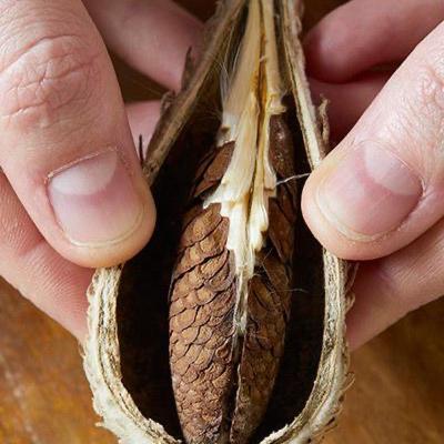 What are you seeding what are you birthing!!! What are you seeding what are you birthing!!!