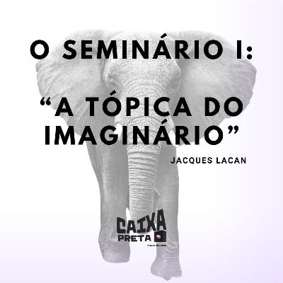 O seminário I: a tópica do imaginário