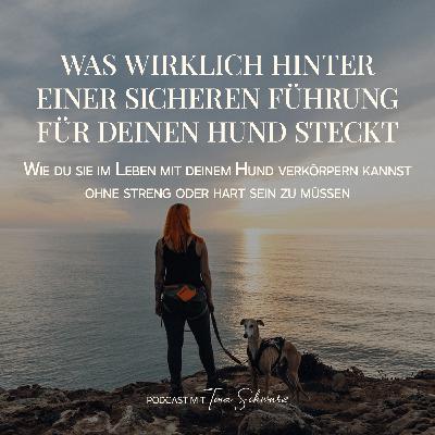 Was wirklich hinter einer sicheren Führung für deinen Hund steckt Was wirklich hinter einer sicheren Führung für deinen Hund steckt
