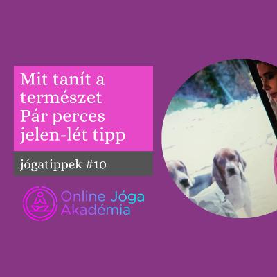 Jógatippek #10 - Mit tanít a természet - pár perces jelen-lét tipp