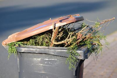 Falsch entsorgter Müll: Seit dem 1. Mai gelten strengere Regeln für die Biotonne Falsch entsorgter Müll: Seit dem 1. Mai gelten strengere Regeln für die Biotonne