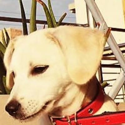 Οι διακοπές στη Ραφήνα κι ο Φλοξ