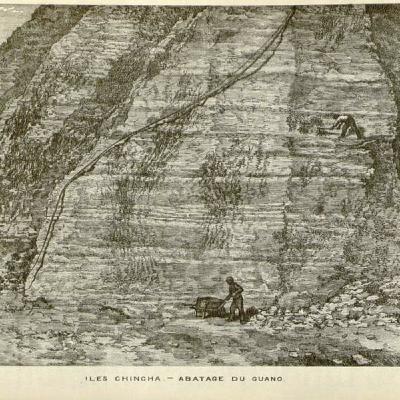 S8 Ep149: 5/8. Guano, Tragedy, and the Rise of Intensive Farming — Steven Moss — Moss discusses seabird guano (nutrient-rich droppings), first recognized as a valuable resource by the Incas and subsequently monetized by William Gibbs, who accumulated immense wealth