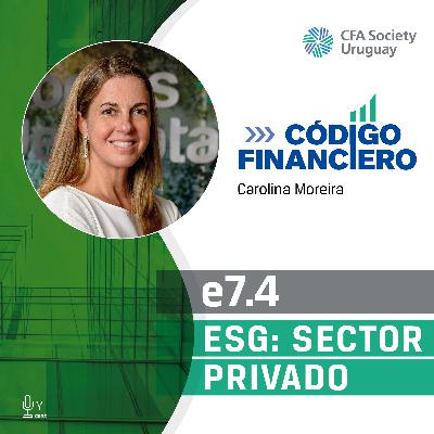 7.4 ESG: Sector privado