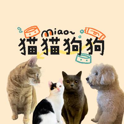 vol.23 这个世界怎么能少了猫猫狗狗呢？！