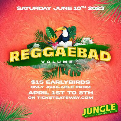 Episode 6: Promo Mix - Reggaebad  Vol 3 (Very Explicit)