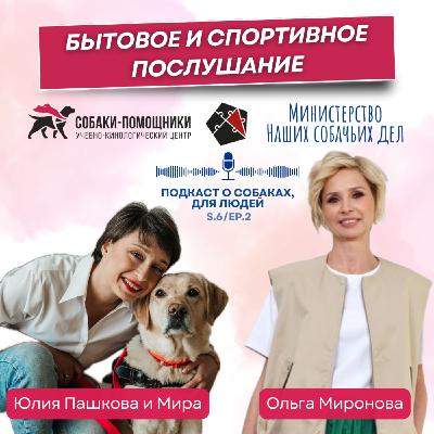 Бытовое и спортивное послушание собак