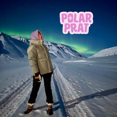 PolarPrat - Pilot PolarPrat - Pilot